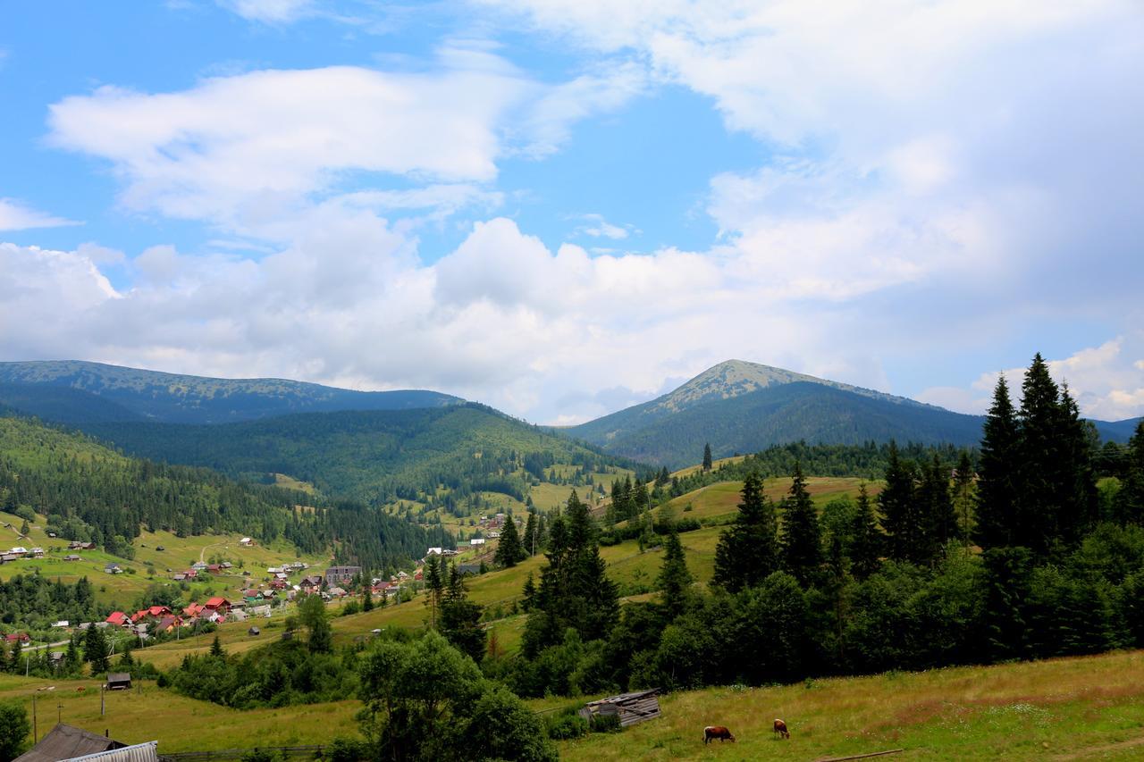 Forrest Hotel Bukoveľ Exteriér fotografie